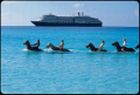 Cruise Shore Excursions - Shore Excursions - BestCruiseBuy.com